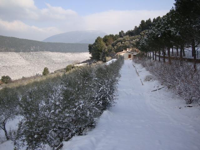Agriturismo Istrice Innamorato Campello sul Clitunno Luaran gambar
